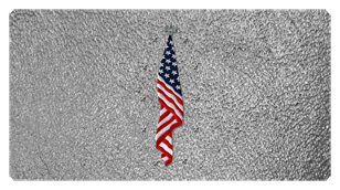 DSC700 421 SH SL Flag at Rest Shimmer Silver